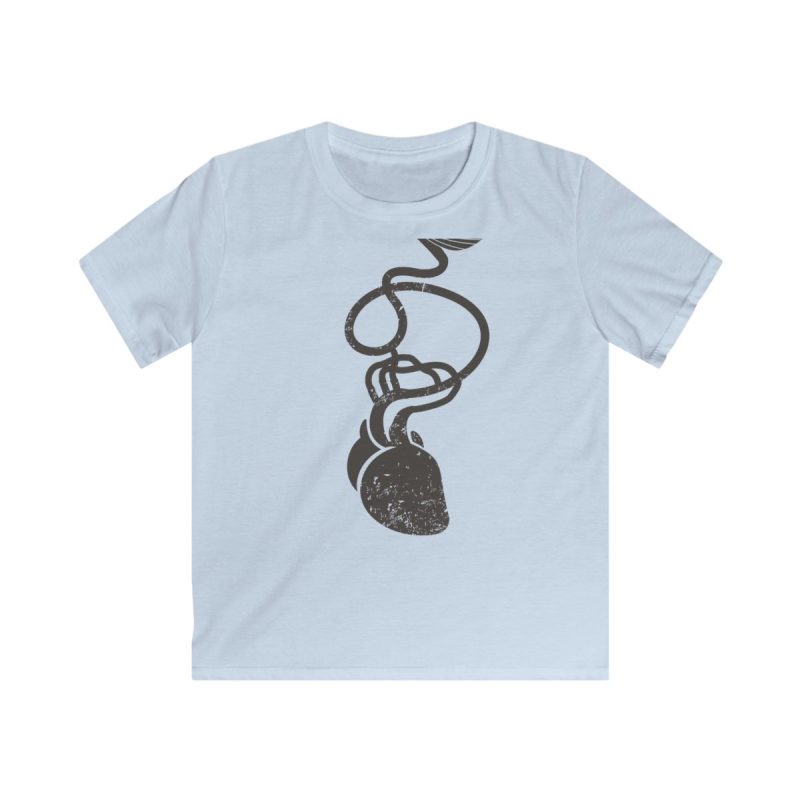 Camiseta infantil Softstyle - Azul claro - Cervell + cor = bandera de Ciutadella
