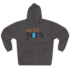 Sudadera con capucha cerrada - Antracita - Esic fet polç