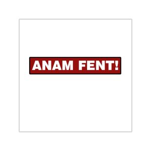 Pegatinas de vinilo cuadradas - Camiseta «ANAM FENT!»