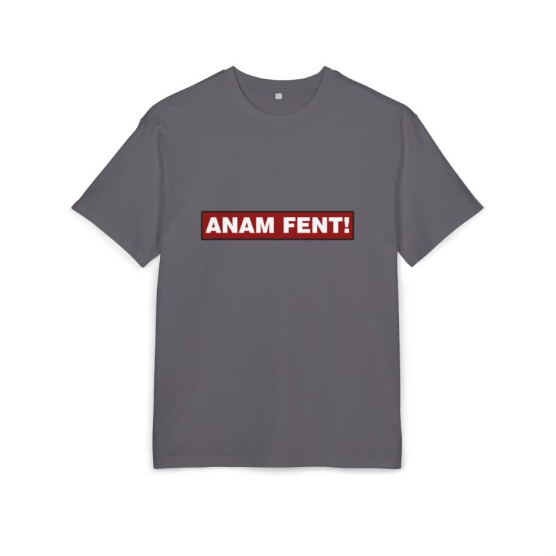 Camiseta oversize gruesa - Gris iman - Camiseta «ANAM FENT!»