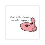 Pegatinas de vinilo cuadradas - Camiseta «Qui pets envia»