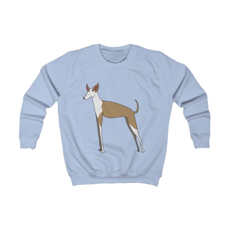 Sudadera infantil - Azul cielo - Camiseta Ca eivissenc