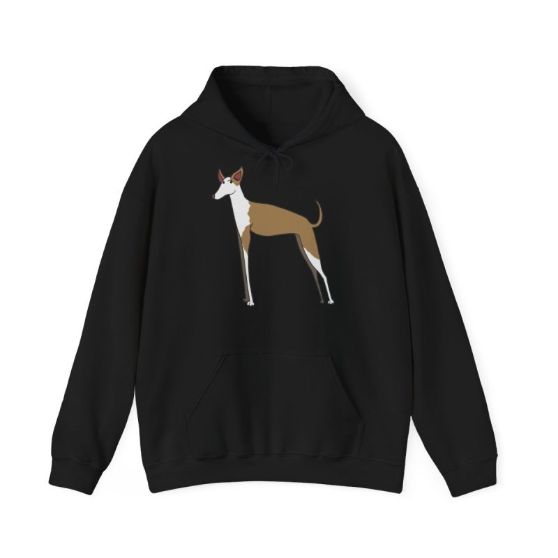Sudadera con capucha - Negro - Camiseta Ca eivissenc
