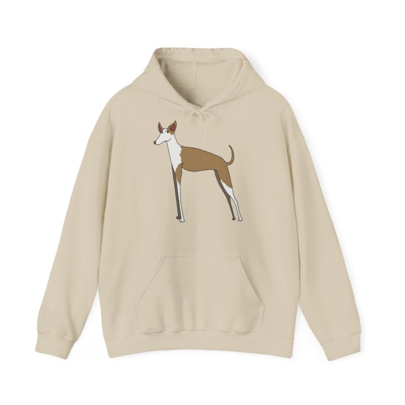 Sudadera con capucha - Arena - Camiseta Ca eivissenc