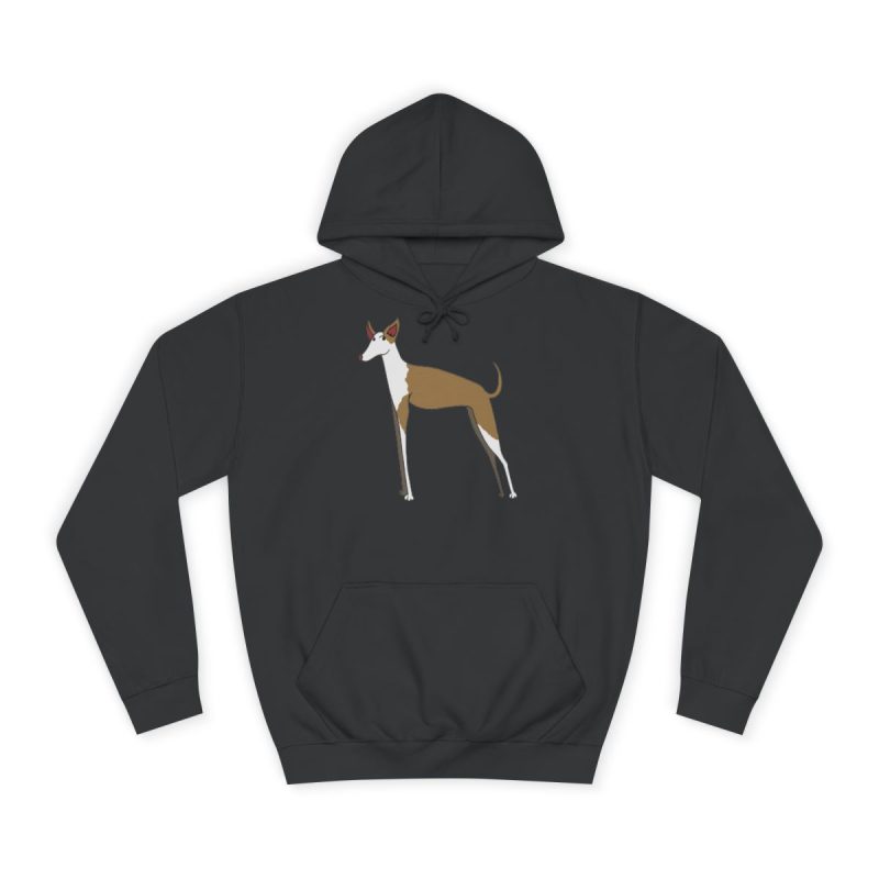 Sudadera universitaria - Negro azabache - Camiseta Ca eivissenc Sudadera universitaria - Negro azabache - Camiseta Ca eivissenc