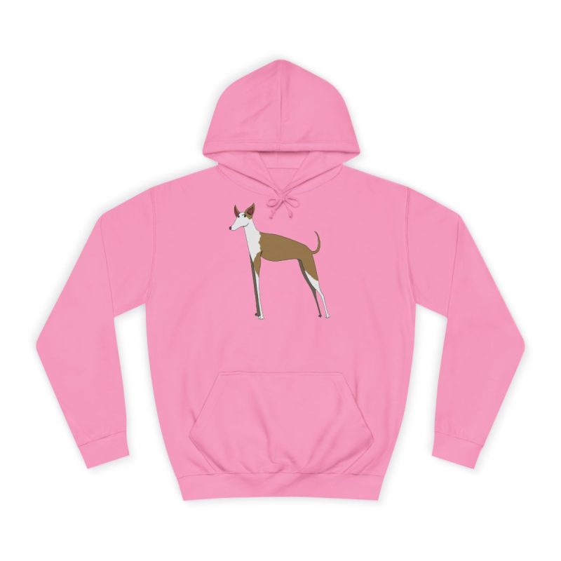 Sudadera universitaria - Rosa algodon de azucar - Camiseta Ca eivissenc
