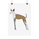 Poster - Camiseta Ca eivissenc