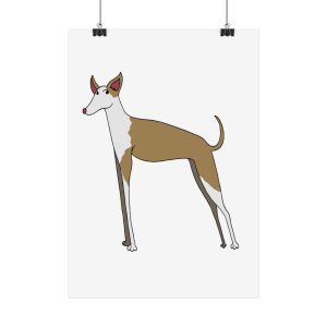 Poster - Camiseta Ca eivissenc