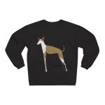 Sudadera cuello redondo premium - Negro - Camiseta Ca eivissenc