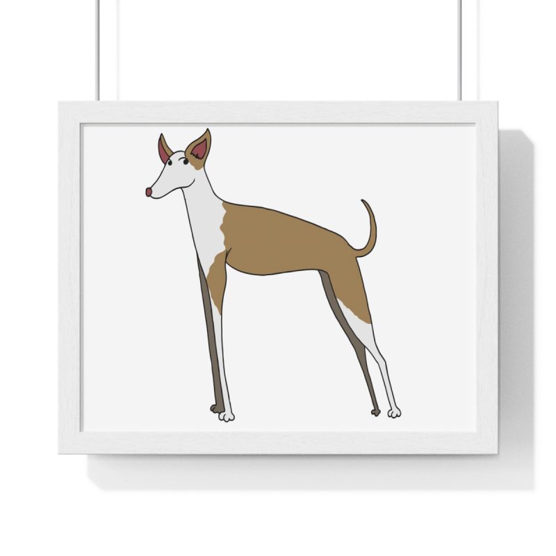 Poster enmarcado horizontal - Blanco - Camiseta Ca eivissenc