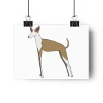 Lamina Giclee - Camiseta Ca eivissenc