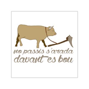 Pegatinas de vinilo cuadradas - Camiseta «No passis s’arada davant es bou»
