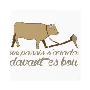 Pegatinas laminadas cuadradas - Camiseta «No passis s’arada davant es bou»