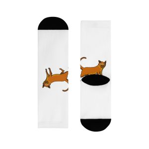 Calcetines - Camiseta Moix – gato naranja de paseo