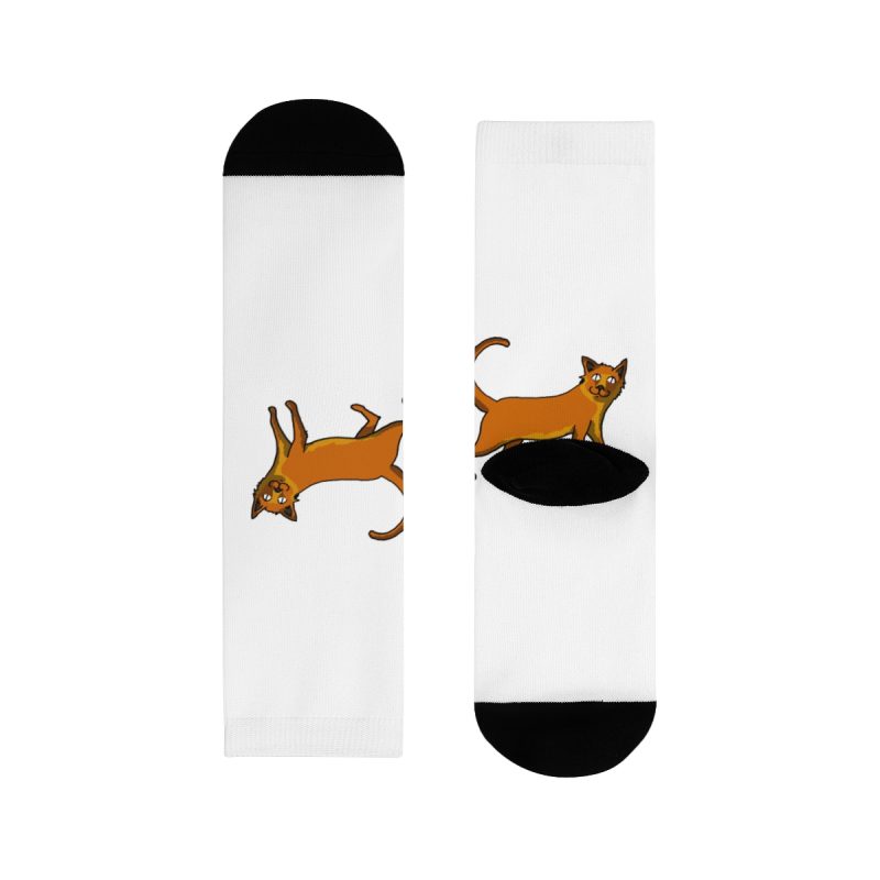 Calcetines - Camiseta Moix – gato naranja de paseo Calcetines - Camiseta Moix – gato naranja de paseo