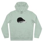 Sudadera con capucha King - Verde agua - Eriço