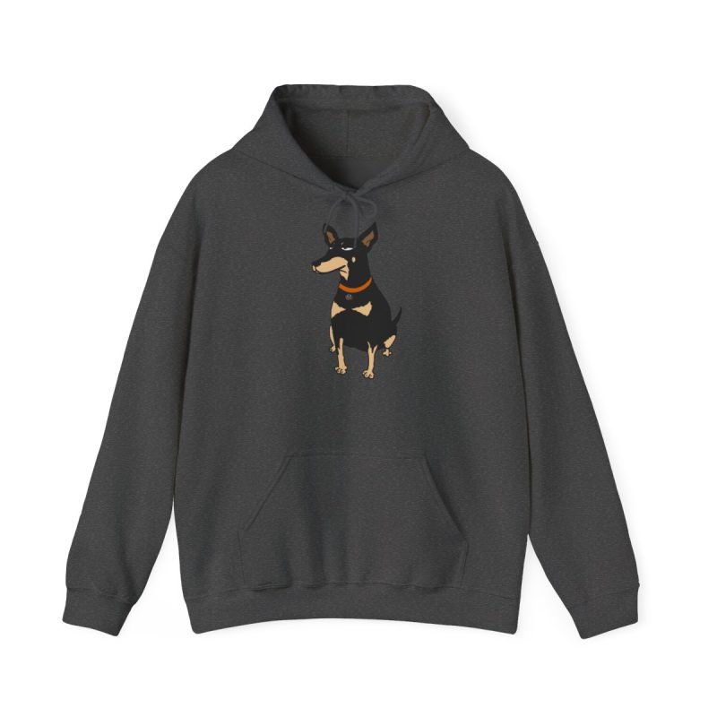Sudadera con capucha - Gris oscuro jaspeado - Ca rater Sudadera con capucha - Gris oscuro jaspeado - Ca rater