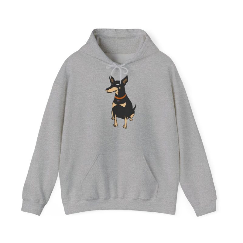 Sudadera con capucha - Gris deportivo - Ca rater
