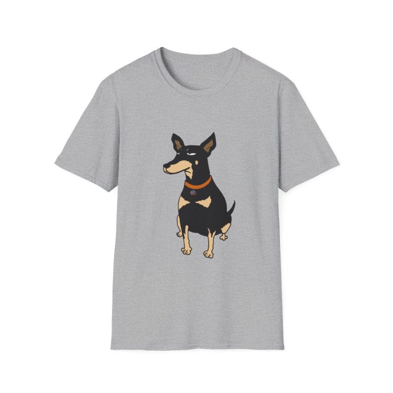 Camiseta Softstyle - Gris deportivo - Ca rater