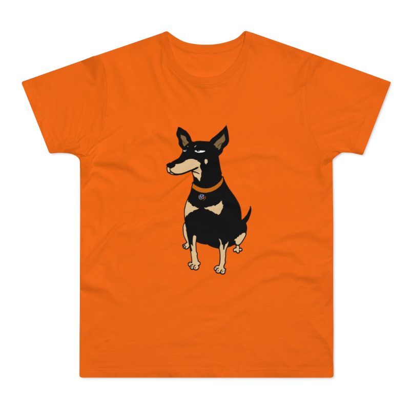 Camiseta hombre punto liso - Naranja - Ca rater