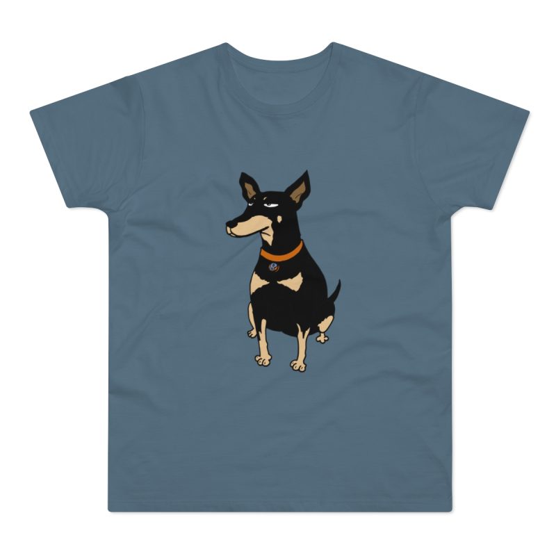 Camiseta hombre punto liso - Azul piedra - Ca rater