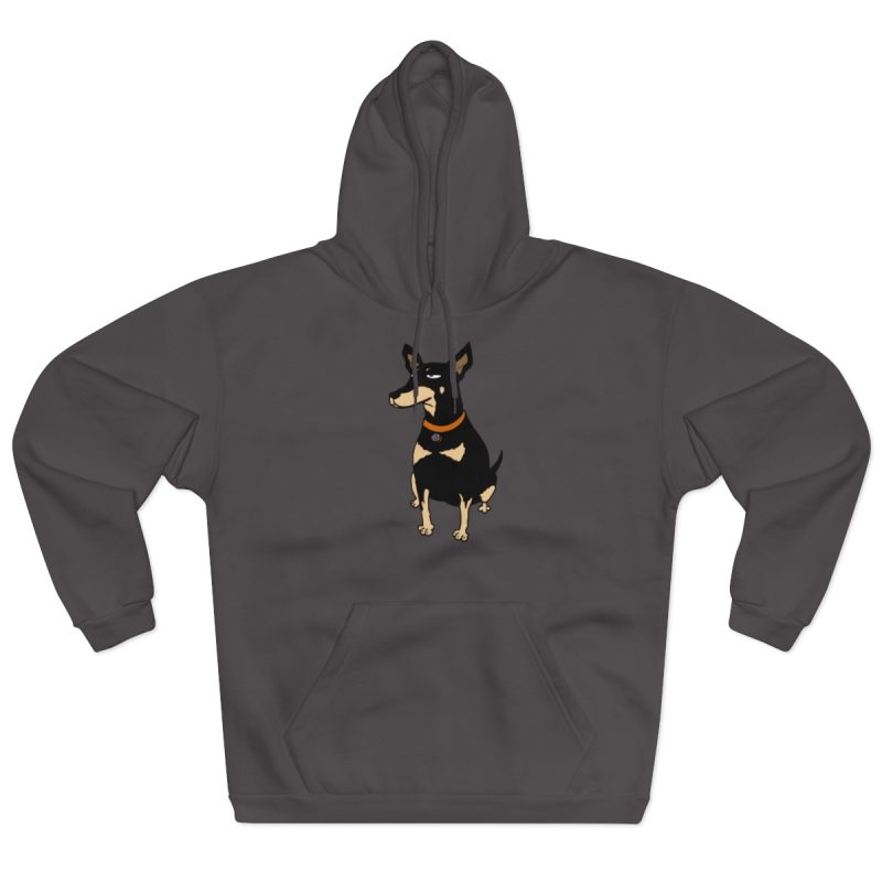 Sudadera con capucha cerrada - Antracita - Ca rater Sudadera con capucha cerrada - Antracita - Ca rater