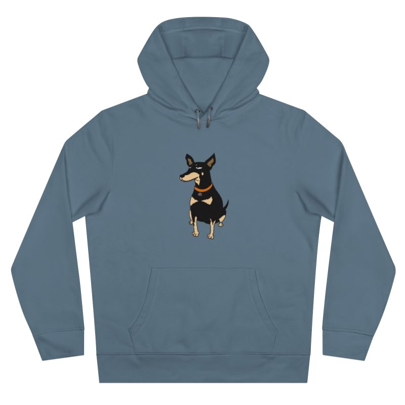 Sudadera con capucha King - Azul nordico - Ca rater