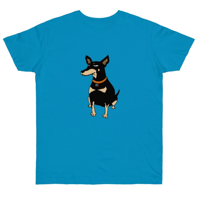 Camiseta punto liso - Azul atolon - Ca rater
