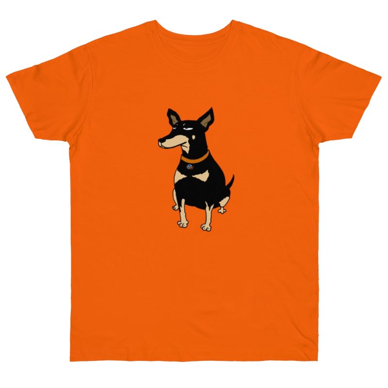 Camiseta punto liso - Naranja - Ca rater