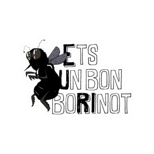 Pegatinas de vinilo troqueladas - Camiseta «Ets un bon borinot»