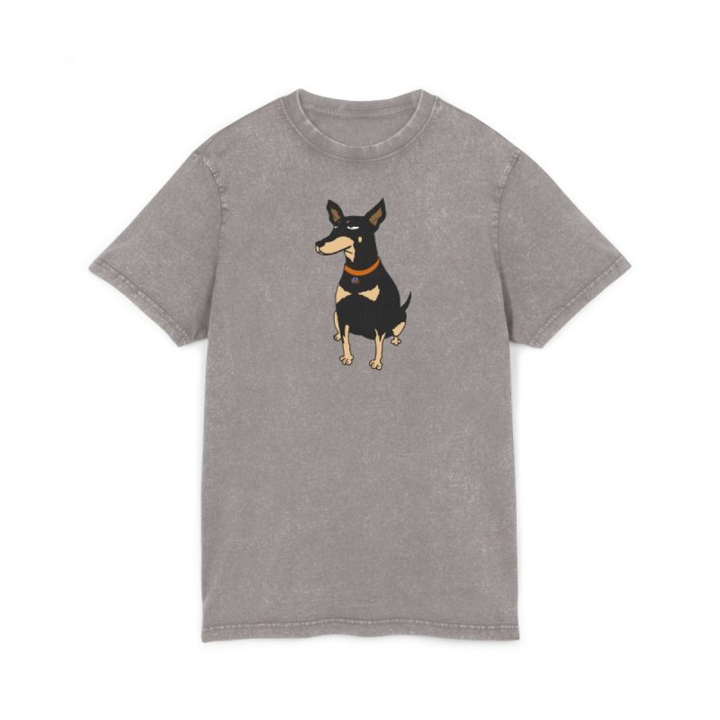Camiseta lavado acido cuello redondo - Gris asfalto - Ca rater