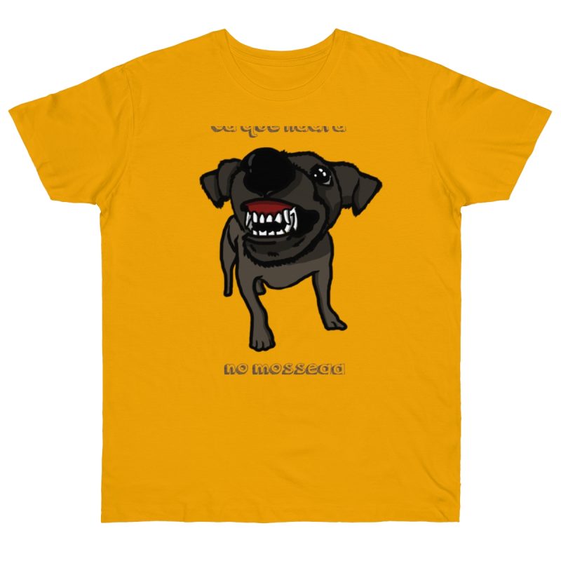 Camiseta punto liso - Albaricoque - Camiseta «Ca que lladra no mossega»