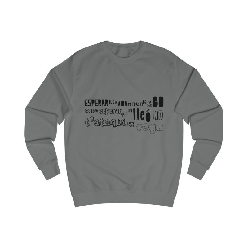 Sudadera clasica - Gris acero - Lleó vegà