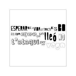 Pegatinas de vinilo cuadradas - Lleó vegà