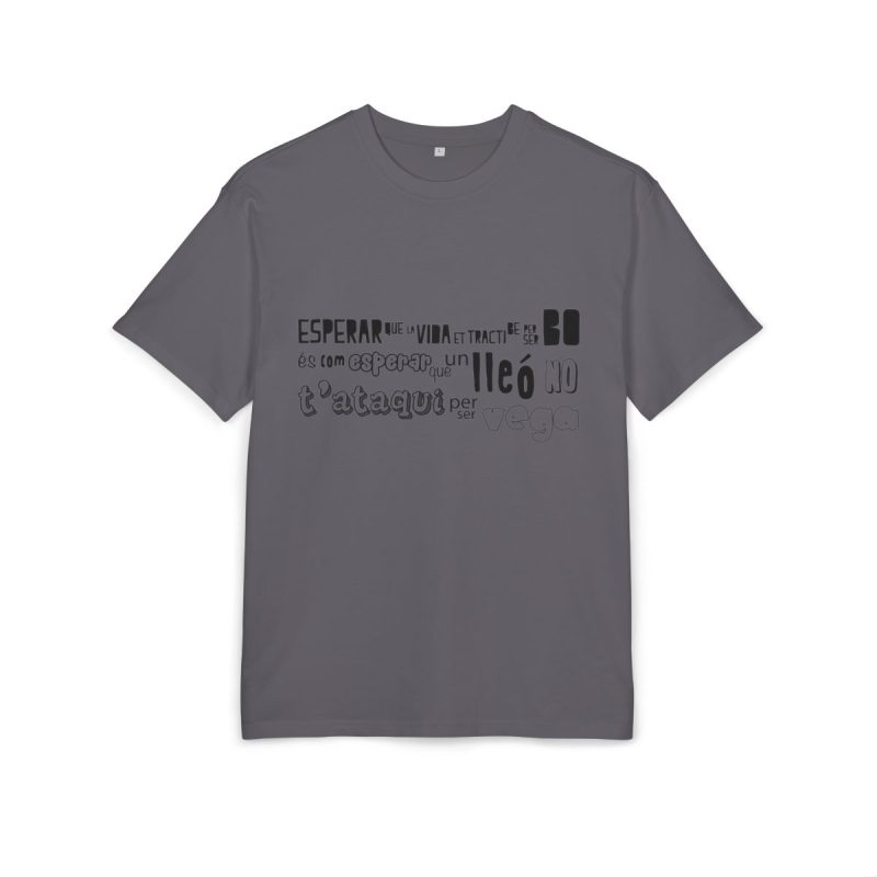 Camiseta oversize gruesa - Gris iman - Lleó vegà