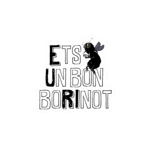 Pegatinas de vinilo troqueladas - Camiseta «Ets un bon borinot»
