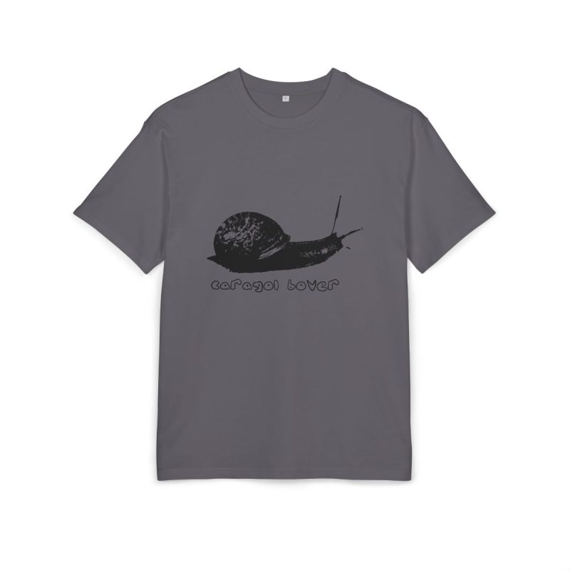 Camiseta oversize gruesa - Gris iman - Camiseta Caragol Bover Cans