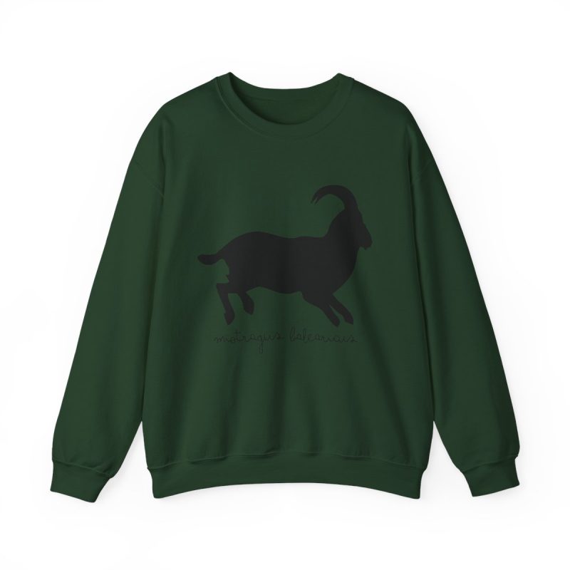 Sudadera cuello redondo - Verde bosque - Miotragus balearicus