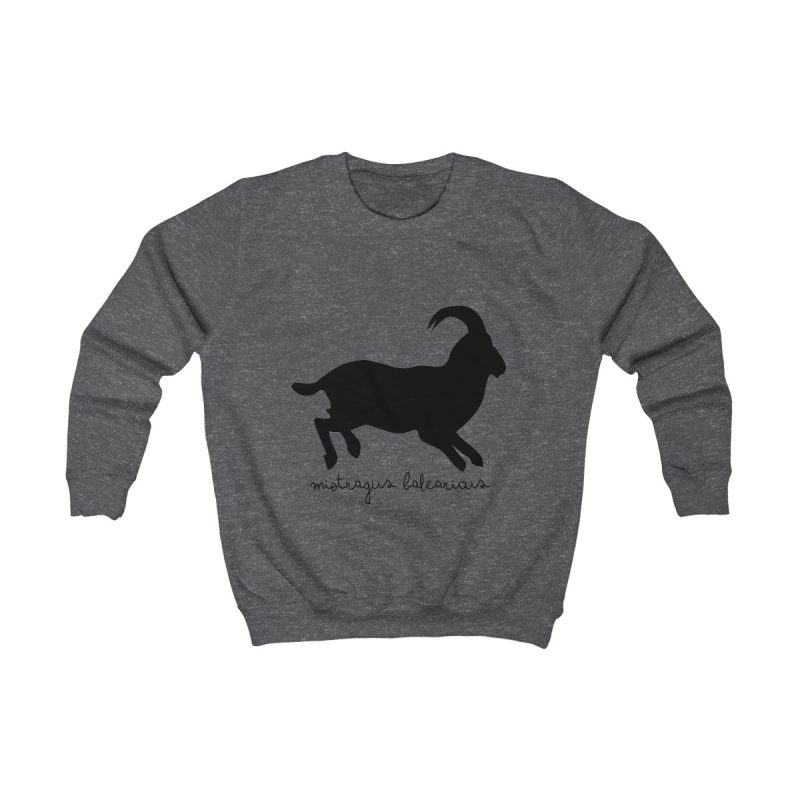 Sudadera infantil - Gris marengo - Miotragus balearicus