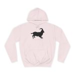 Sudadera universitaria - Rosa bebe - Miotragus balearicus