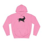 Sudadera universitaria - Rosa algodon de azucar - Miotragus balearicus