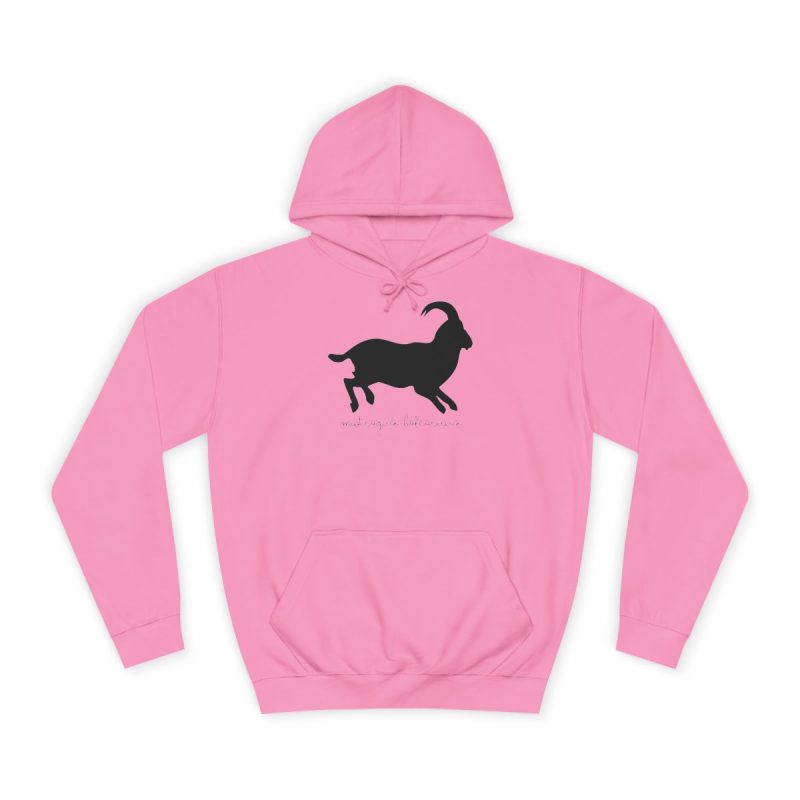 Sudadera universitaria - Rosa algodon de azucar - Miotragus balearicus