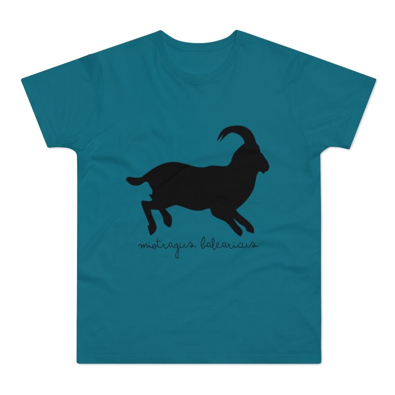 Camiseta hombre punto liso - Azul diva - Miotragus balearicus