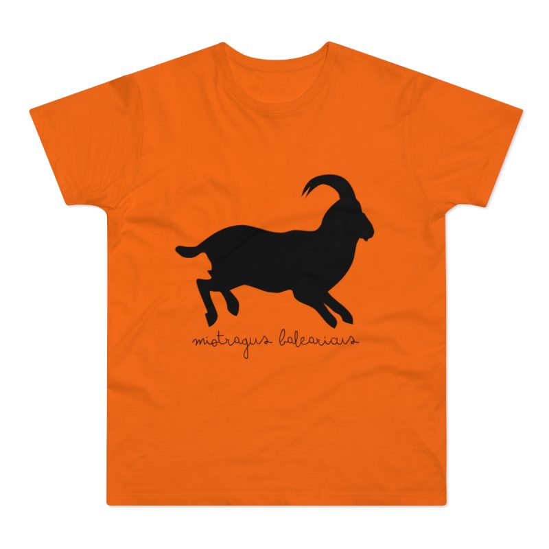 Camiseta hombre punto liso - Naranja - Miotragus balearicus