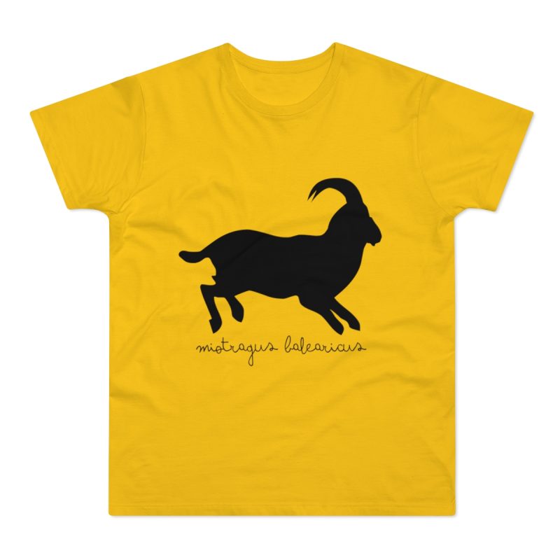 Camiseta hombre punto liso - Amarillo dorado - Miotragus balearicus