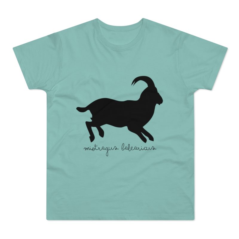 Camiseta hombre punto liso - Verde menta - Miotragus balearicus