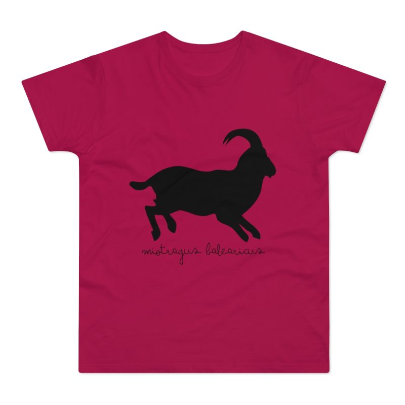 Camiseta hombre punto liso - Sorbete - Miotragus balearicus