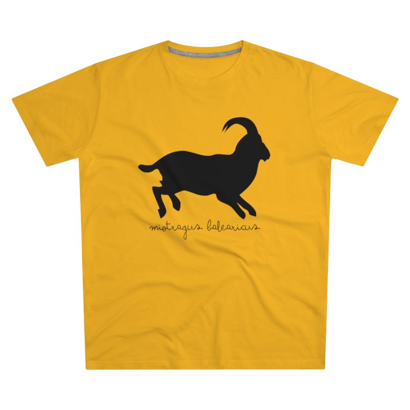 Camiseta hombre corte moderno - Amarillo girasol - Miotragus balearicus