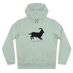 Sudadera con capucha King - Verde agua - Miotragus balearicus