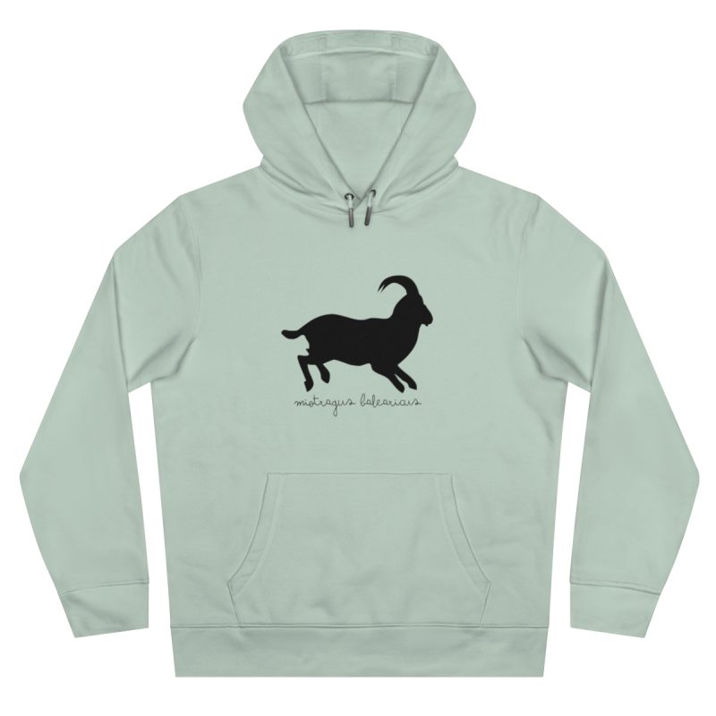 Sudadera con capucha King - Verde agua - Miotragus balearicus